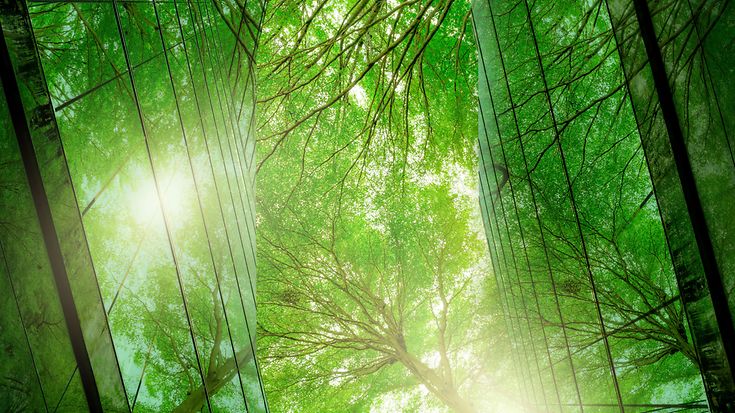 Expertenrat für Klimafragen: Deutschland hinkt Zielen hinterher (© Fahroni / gettyimages)